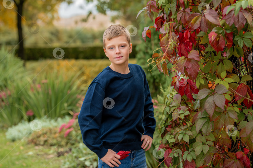 Скачать Маленький мальчик, стоящий в парке с осенними листьями. Ребенок на улице наслаждается природой осенним днем. фотосток Ozero