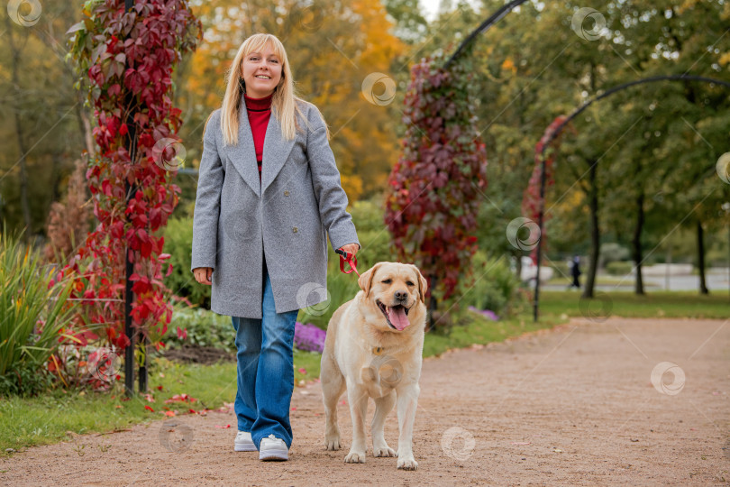 Скачать Женщина выгуливает своего золотистого лабрадора-ретривера по гравийной дорожке в осеннем парке. фотосток Ozero