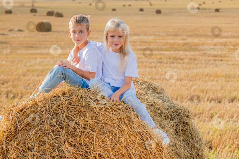 Скачать Счастливые дети-близнецы сидят на тюке сена в солнечном поле фотосток Ozero