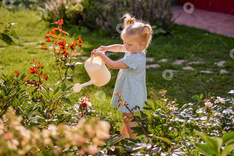Скачать маленькая девочка поливает цветы из лейки в саду загородного дома солнечным летним вечером. фотосток Ozero