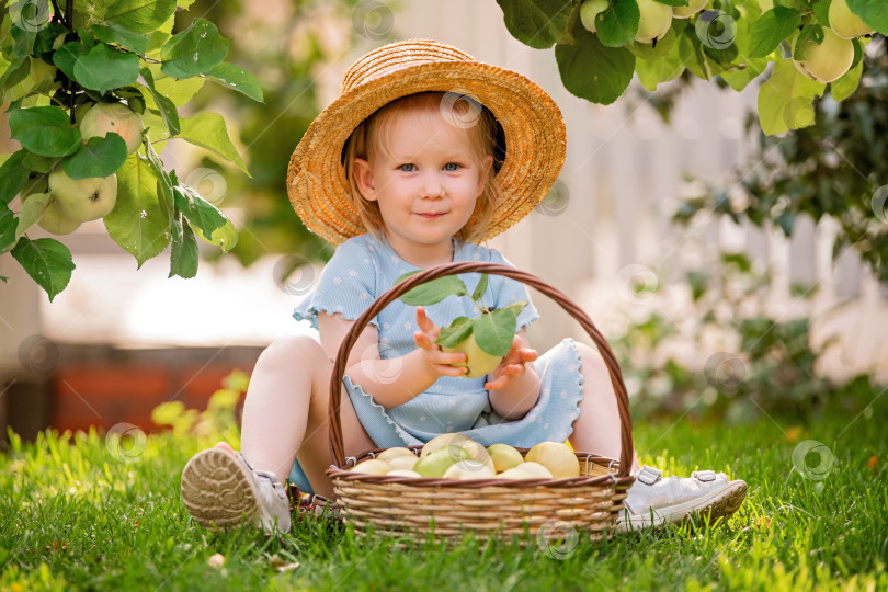 Скачать Милая маленькая девочка с корзиной яблок в саду фотосток Ozero