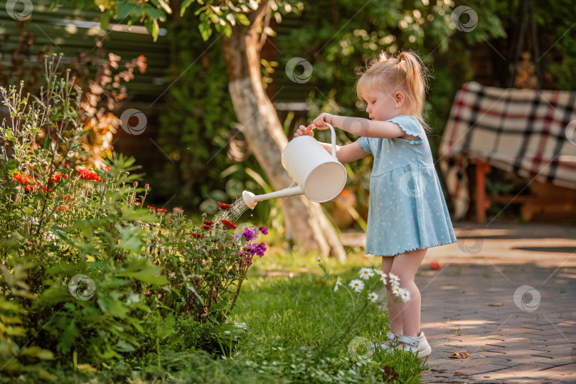 Скачать маленькая девочка поливает цветы из лейки в саду загородного дома солнечным летним вечером. фотосток Ozero
