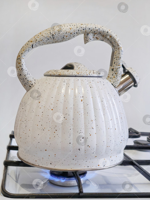 Скачать новый белый чайник на газовой плите фотосток Ozero