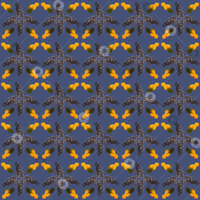 Скачать Бесшовный фон - мандарины и виноград фотосток Ozero