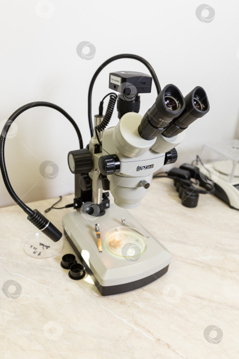 Скачать Микроскоп на столе фотосток Ozero