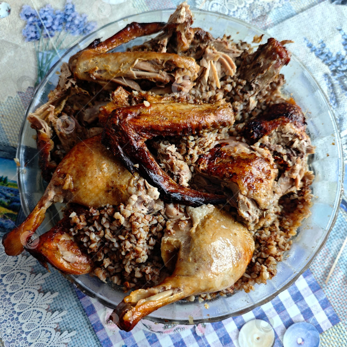 Скачать Запеченная утка с гречкой фотосток Ozero