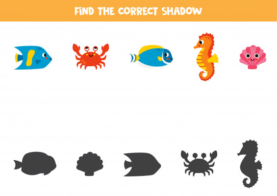 [object Object] undefined