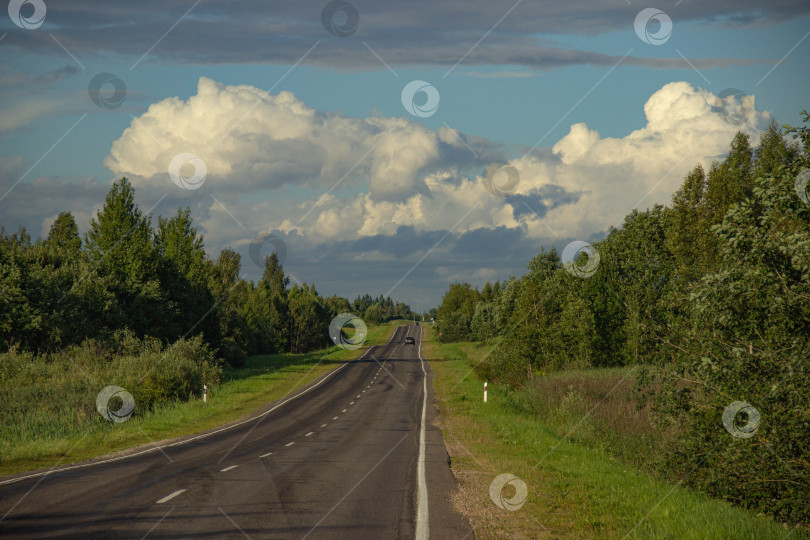 Скачать Пустая загородная дорога среди зелёного леса под летним небом. Беларусь август 2025 фотосток Ozero