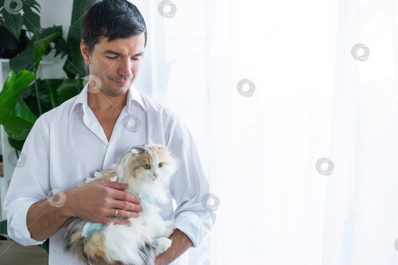 Скачать Ветеринар держит забинтованную кошку, завернутую в одеяло, после операции по стерилизации. фотосток Ozero