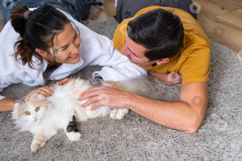 Скачать Муж и жена играют с домашней кошкой на ковре фотосток Ozero