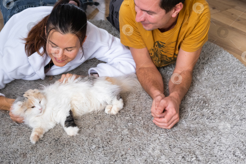 Скачать Муж и жена играют с домашней кошкой на ковре фотосток Ozero