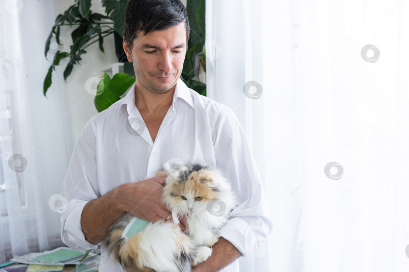 Скачать Ветеринар держит забинтованную кошку, завернутую в одеяло, после операции по стерилизации. фотосток Ozero