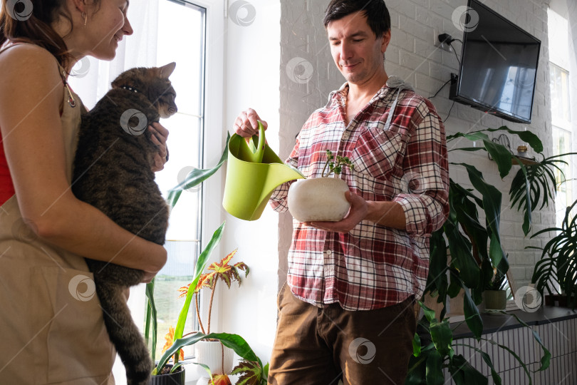 Скачать Мужчина с женщиной и кошкой ухаживают за домашними растениями в горшках на подоконнике, поливая их из лейки фотосток Ozero