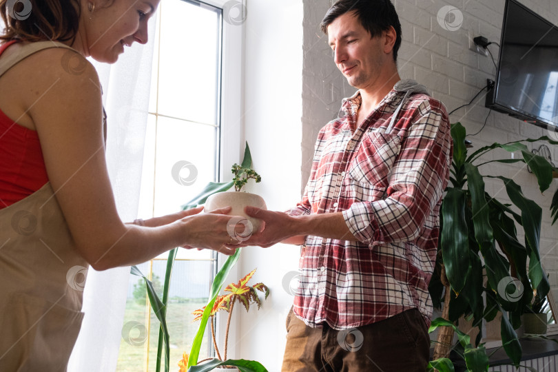 Скачать Мужчина с женщиной ухаживают за домашними растениями в горшках на подоконнике, поливая из лейки фотосток Ozero