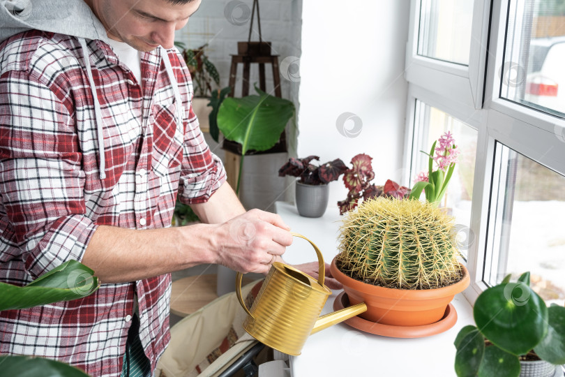 Скачать Мужчина ухаживает за домашними растениями в горшках на полках, поливает из лейки, занимается своим делом фотосток Ozero