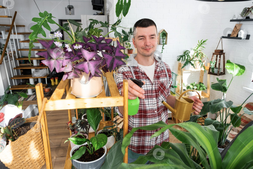 Скачать Мужчина ухаживает за домашними растениями в горшках на полках, опрыскивает их от вредителей, занимается своим делом фотосток Ozero