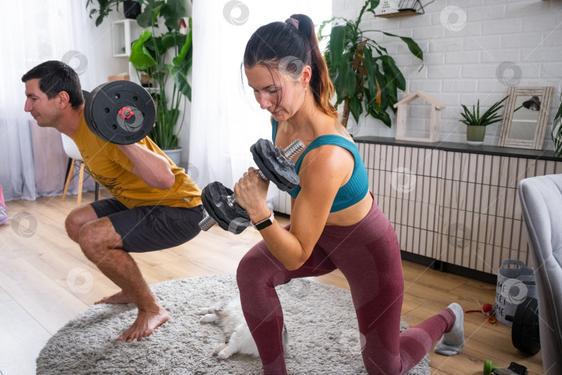 Скачать Женщина и мужчина в спортивной форме занимаются фитнесом и силовыми тренировками со штангой и гантелями дома в интерьере и кат фотосток Ozero