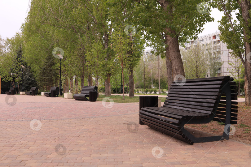 Скачать В парке летом фотосток Ozero