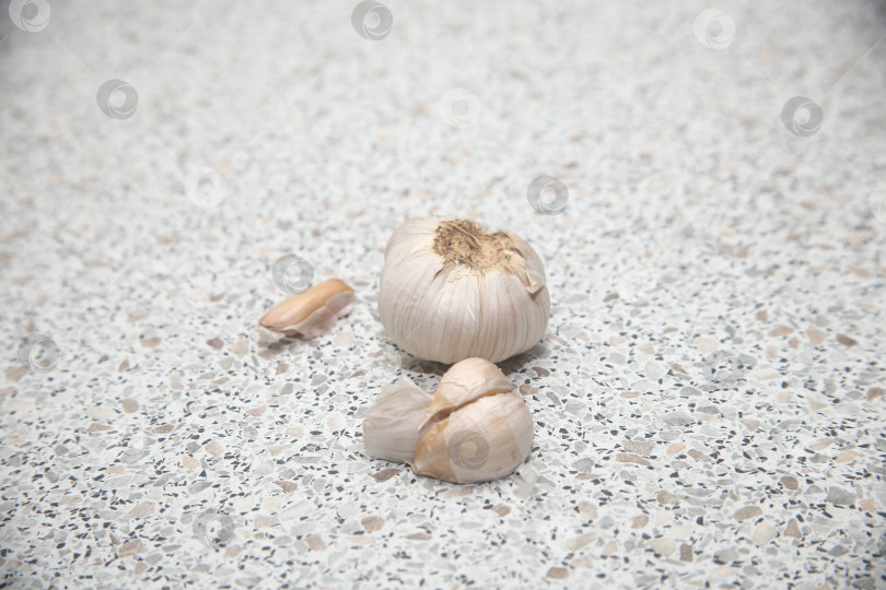Скачать Овощи чеснок на столе фотосток Ozero