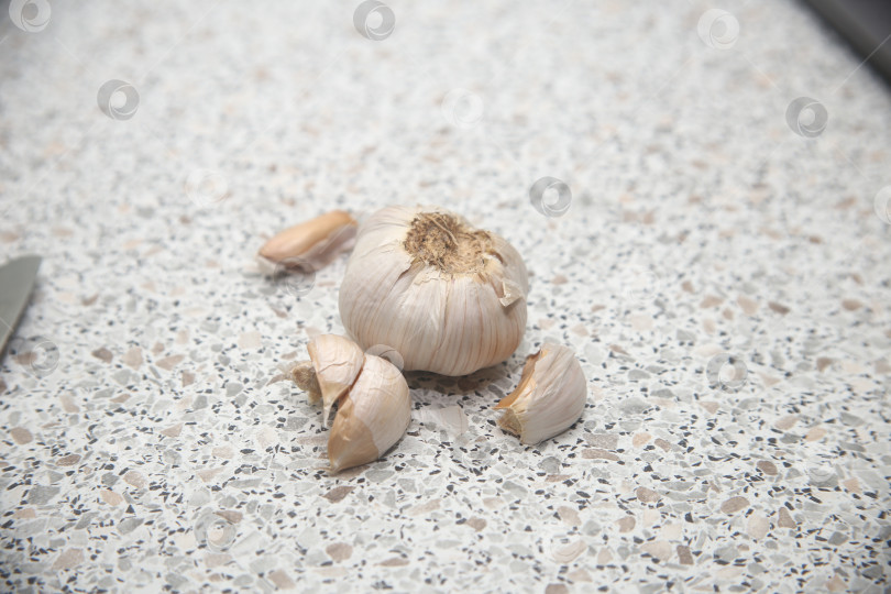 Скачать чеснок дольками на столе фотосток Ozero