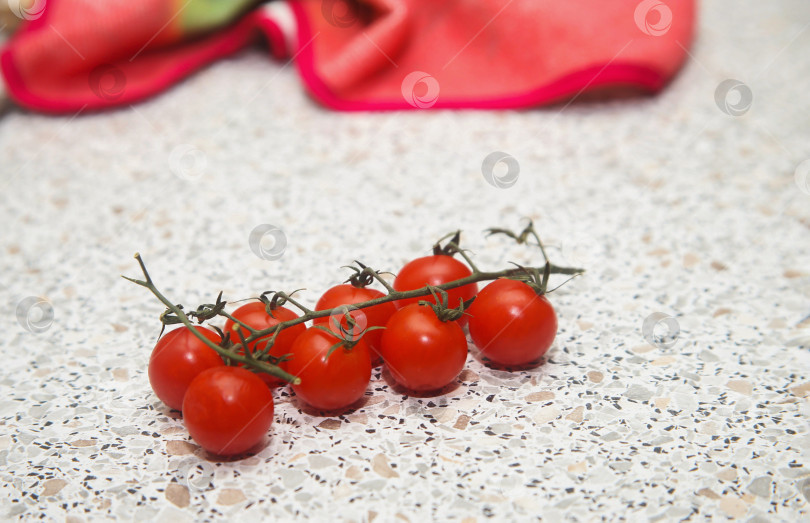 Скачать Помидоры черри красные фотосток Ozero