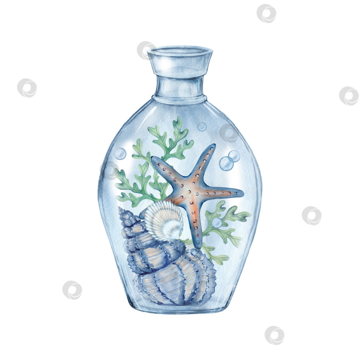 Скачать Стеклянная бутылка с морскими элементами внутри. фотосток Ozero