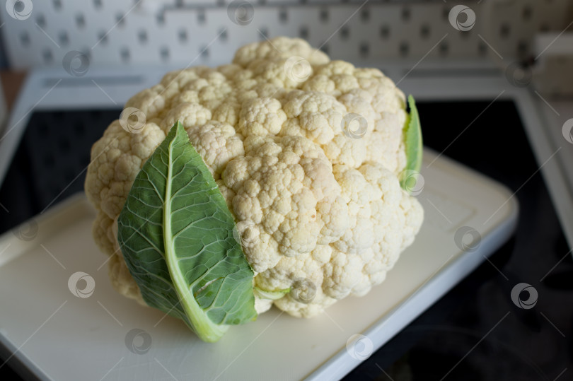 Скачать цветная, капуста, целиком фотосток Ozero