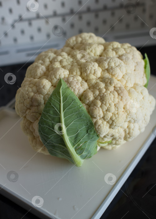 Скачать цветная капуста фотосток Ozero