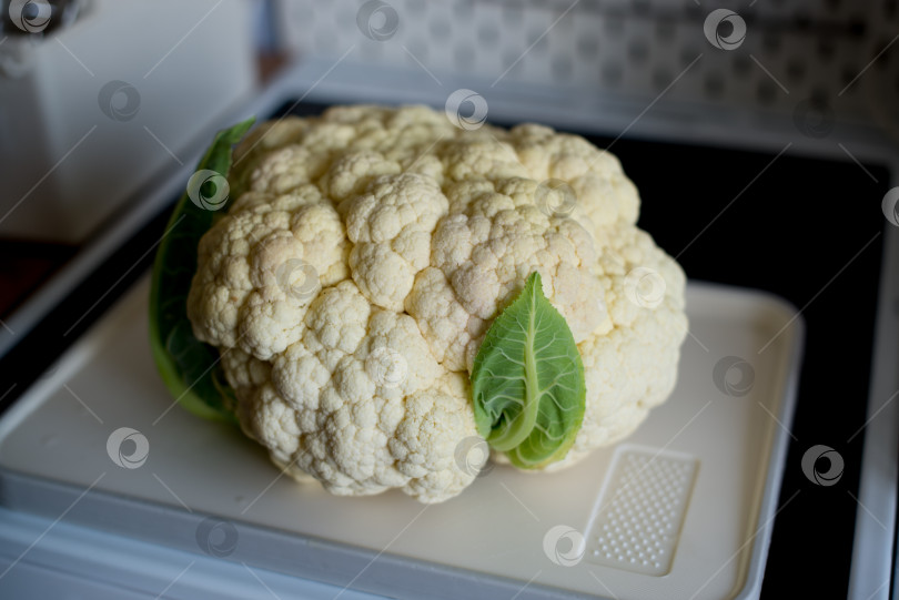 Скачать цветная капуста фотосток Ozero