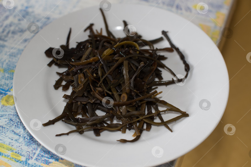 Скачать фукус, морские водоросли фотосток Ozero