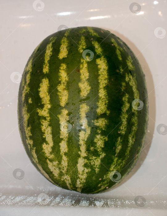 Скачать арбуз фотосток Ozero