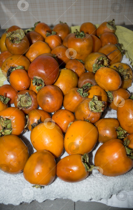 Скачать хурма фотосток Ozero