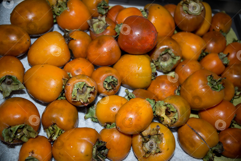 Скачать хурма фотосток Ozero