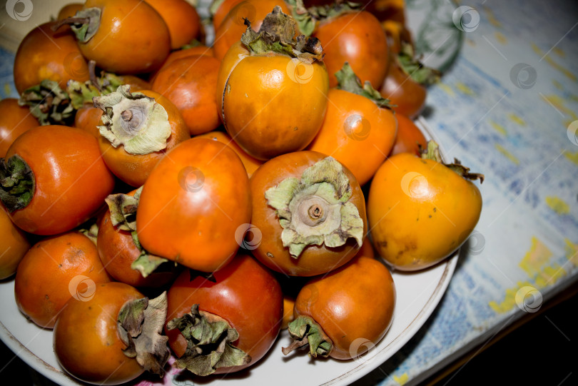 Скачать хурма фотосток Ozero