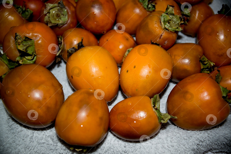 Скачать хурма фотосток Ozero