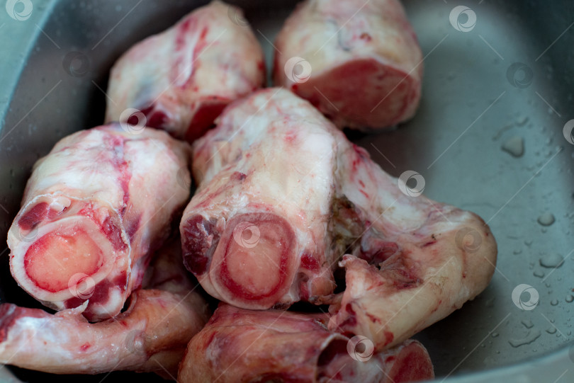 Скачать ноги говяжьи, лытки фотосток Ozero