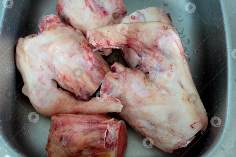 Скачать ноги говяжьи, лытки фотосток Ozero