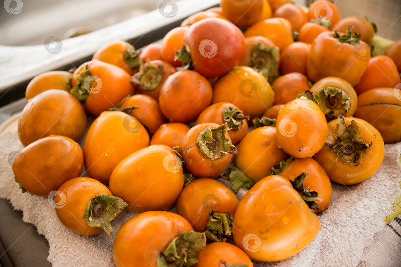 Скачать хурма фотосток Ozero