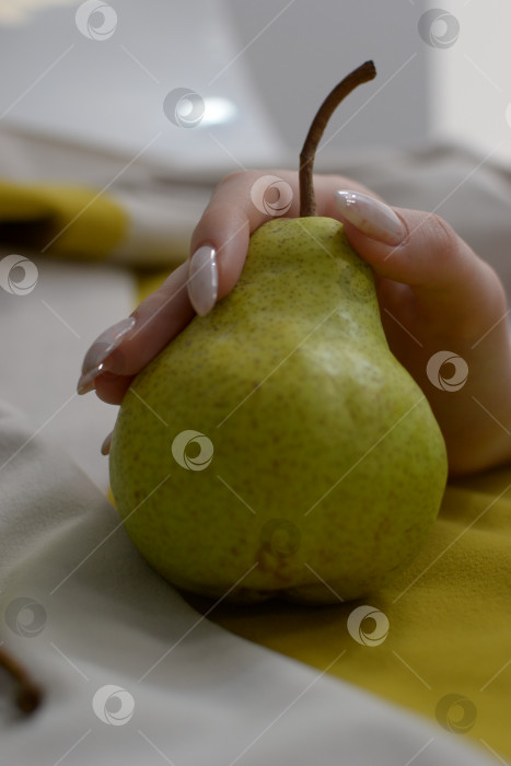 Скачать Груша в руке фотосток Ozero