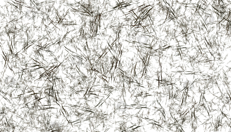 Скачать Абстрактный светлый пушистый фон с черными пересекающимися слоями мелких игл на белом фоне. Пространство для вашего дизайна. Иллюстрация. фотосток Ozero