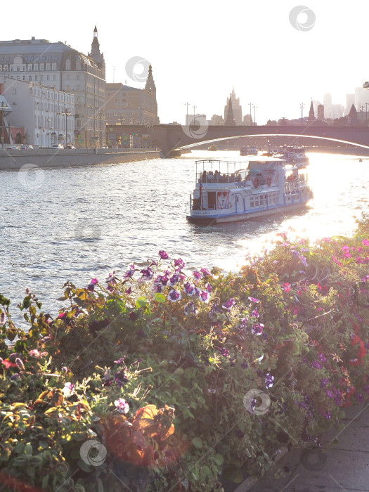 Скачать Цветы на набережной Москва-реки фотосток Ozero