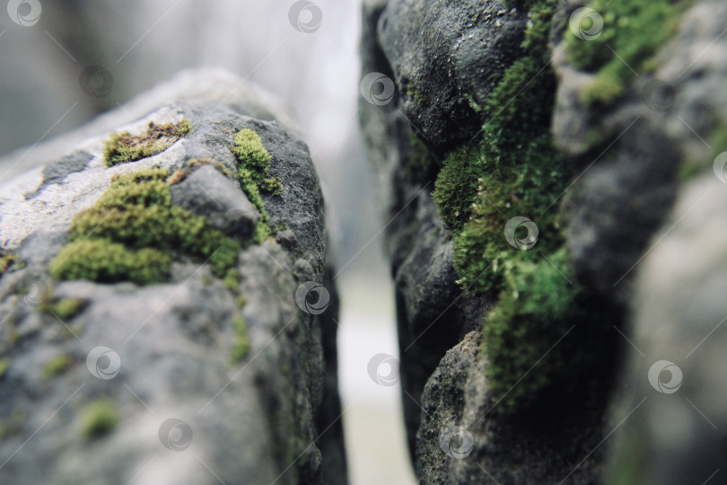 Скачать Каменный каньон фотосток Ozero