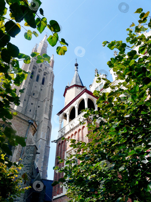 Скачать Здание среди деревьев фотосток Ozero