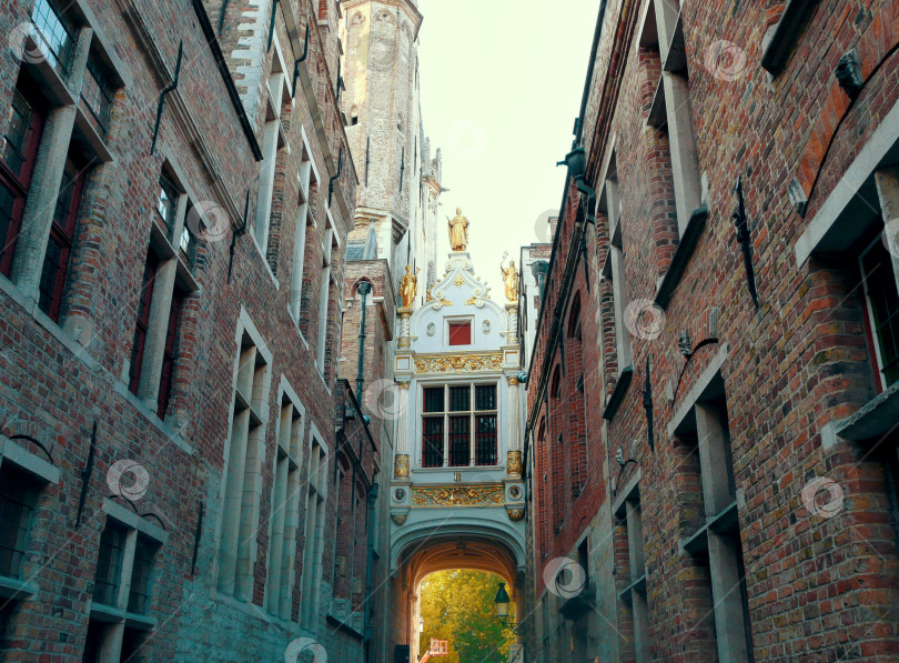 Скачать Красивая крыша в Бельгии фотосток Ozero