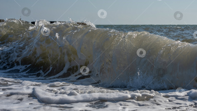 Скачать Большая волна, разбивающаяся о берег. Вода пенится и блестит на солнце. Видны брызги и пена. фотосток Ozero