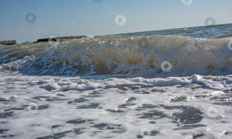 Скачать Большая волна, разбивающаяся о берег. Вода пенится и блестит на солнце. Видны брызги и пена. фотосток Ozero