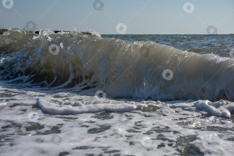 Скачать Большая волна, разбивающаяся о берег. Вода пенится и блестит на солнце. Видны брызги и пена. фотосток Ozero