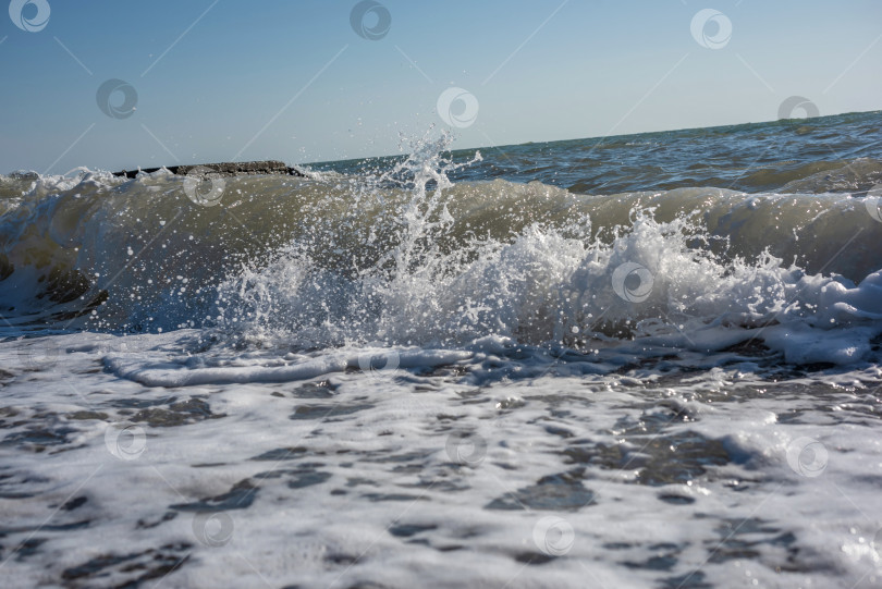 Скачать утренние морские волны на пляже фотосток Ozero