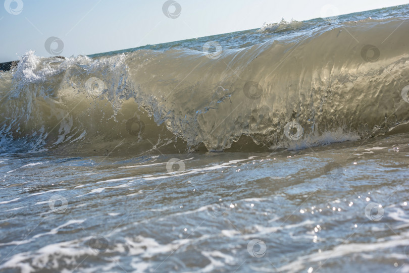 Скачать утренние морские волны на пляже фотосток Ozero