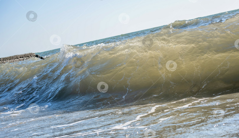 Скачать утренние морские волны на пляже фотосток Ozero
